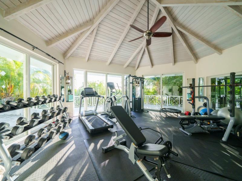 Three Bees , Harbour Island 