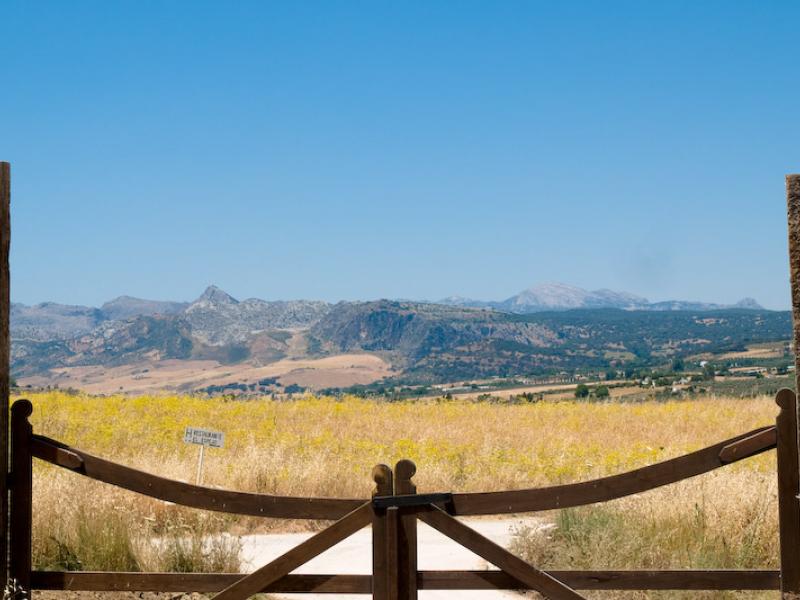 La Huerta El Noque , Ronda 
