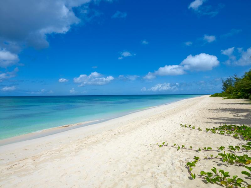 Crowsnest Villa- Beachfront , Beachfront villas Barbados , Christ Church , South Coast Barbados , St Michael 