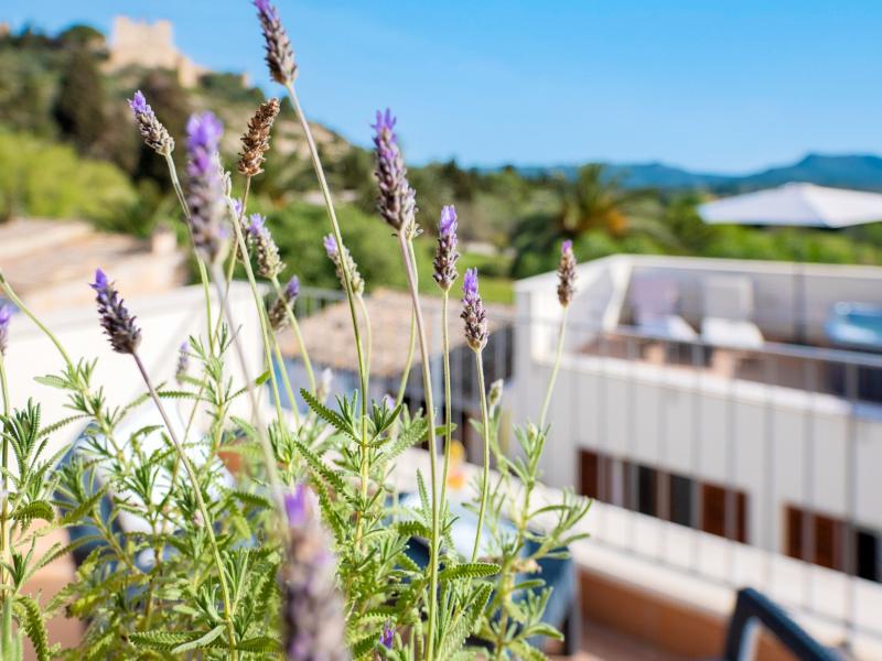 Casa Belisima , East 