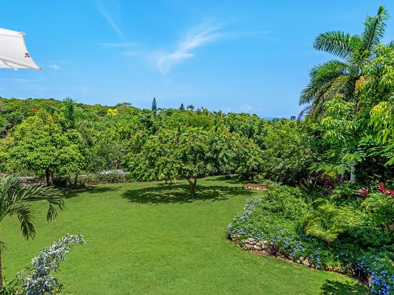 Abacus , Montego Bay , Spring Farm 