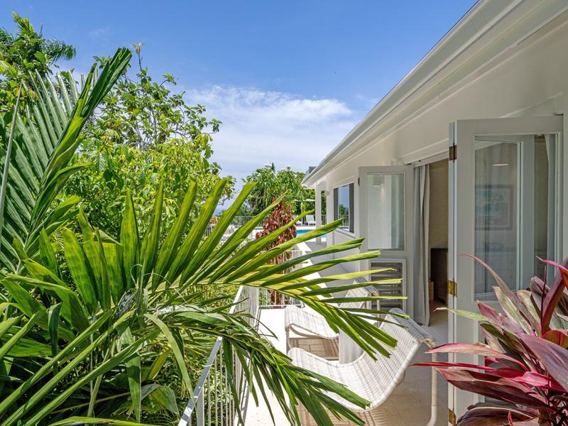 Abacus , Montego Bay , Spring Farm 