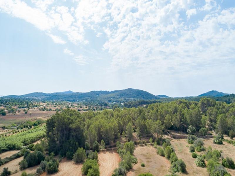 Can Daphne , Santa Gertrudis 