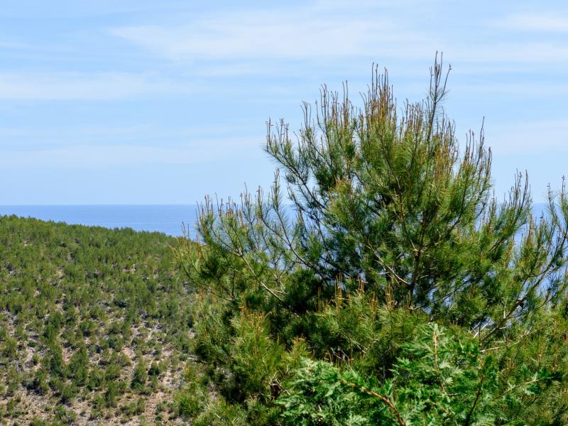 Villa Infinite , Santa Eulalia 