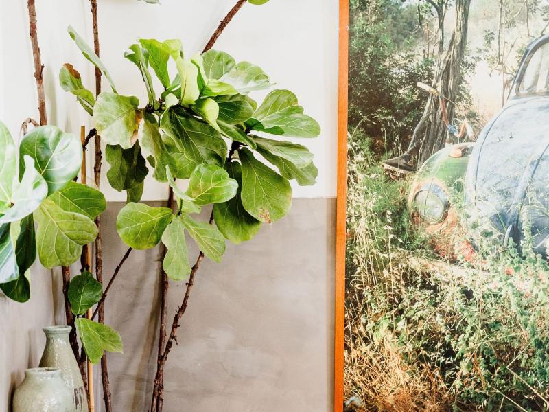 Villa Para , San Antonio 