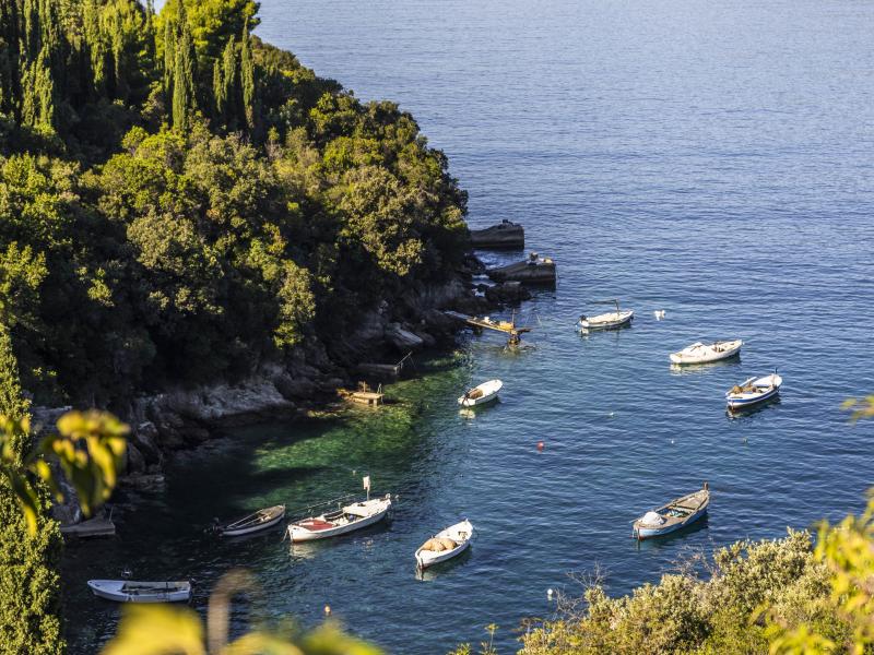 Villa Palma , Dubrovnik region 