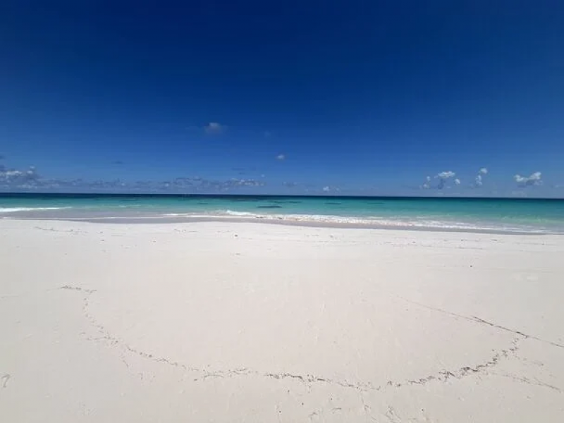 Bohemia - Eleuthera , Eleuthera 