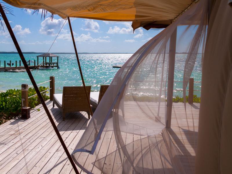 Three Bees , Harbour Island 