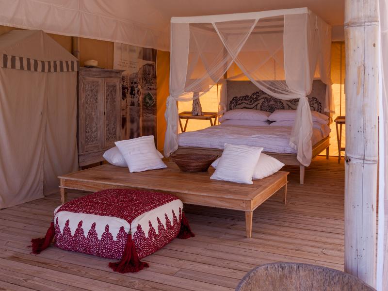 Three Bees , Harbour Island 