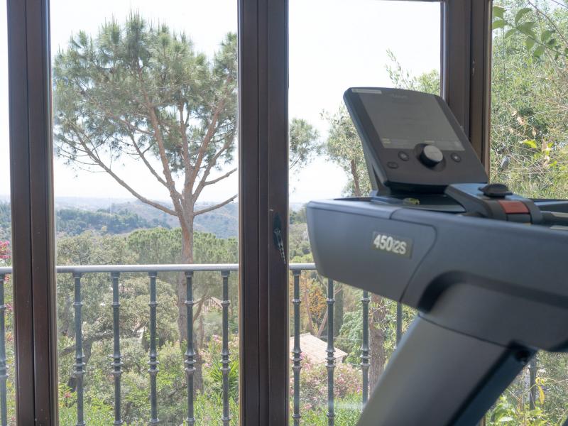 Hacienda Panamera , El Madronal , Puerto Banus 