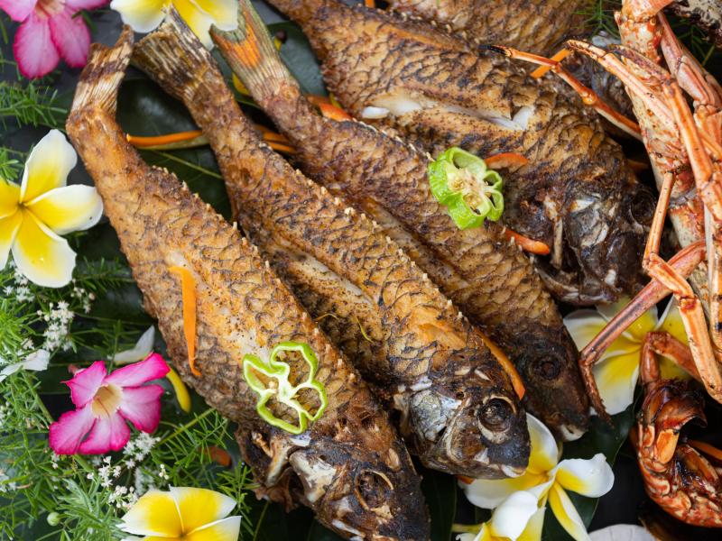 Karma Bay , Montego Bay 