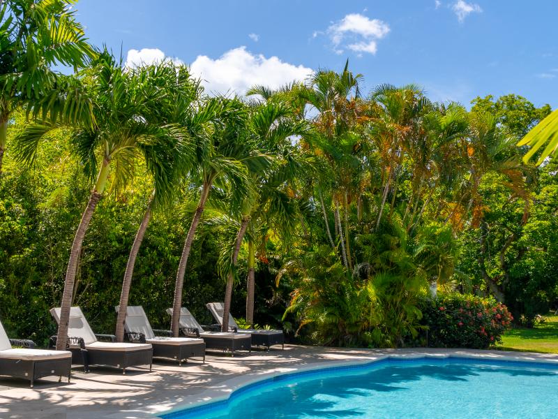 Sandy Lane Estate - Palm Tree Villa , Sandy Lane Estate 