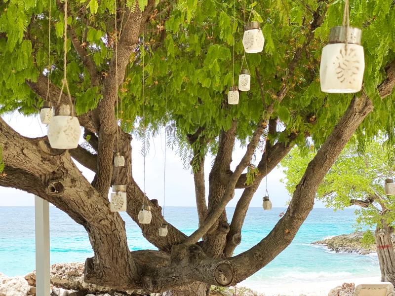 Sandcastle Beach House , Lime Stone Bay 