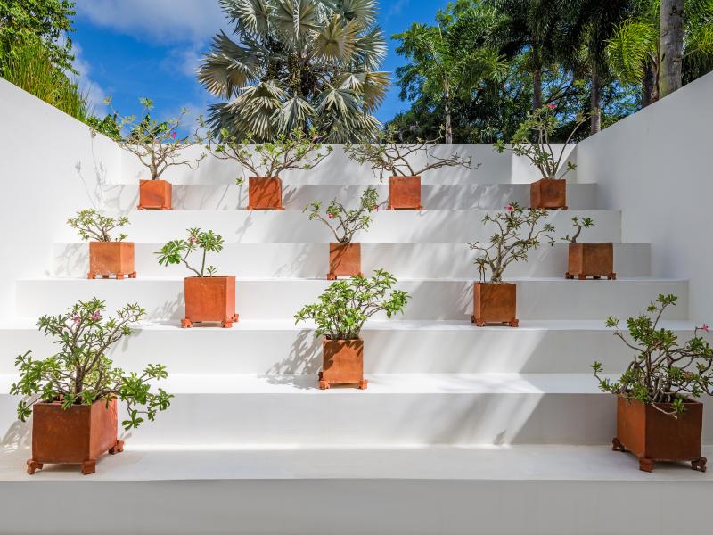 Tara House , Speightstown , St Peter , West Coast Barbados 