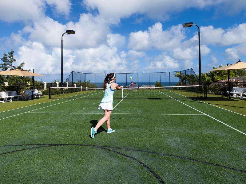 Villa Nevaeh Estate , Long Bay 