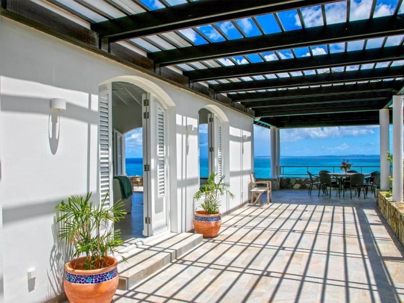 Libellule , Terres Basses 